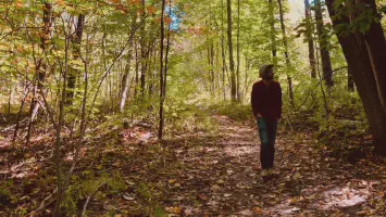 featured_aaron_pate_trees.webp Video Thumbnail