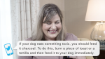 featured_vets-read-bad-pet-advice-tortillas-for-toxicity-with.png Thumbnail